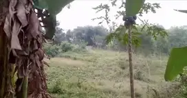 Tanah Komersial  Di Cikarang Cibarusa Dijual Segera.