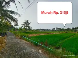 Tanah Murah Ngemplak Sleman Timur