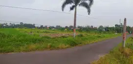 Dijual Tanah Pekarangan di Krandon Wedomartani Sleman