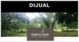 Dijual Tanah/Kebun Kebonsari
