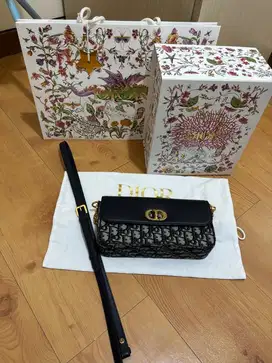 Dior Bag 30 Montaigne avenue