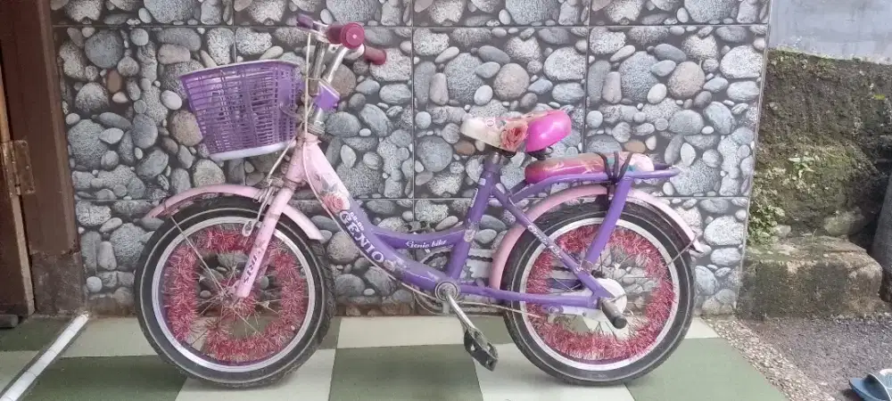 Sepeda Anak-Anak
