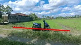 Dijual Sebidang Tanah Pertanian di Sidomulyo Brongkol