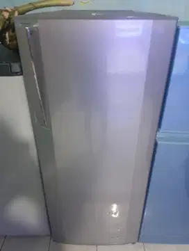 Plizer seken normal