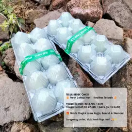 Telur Bebek Mentah