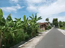 Tanah Apik SHM Area Jl. Kapten Haryadi Sinduharjo Ngaglik Sleman Jogja