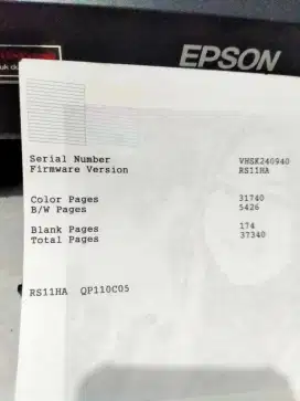 Printer Epson L310