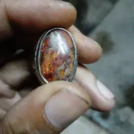 Bulu macan meksiko
