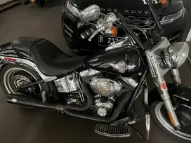 Fatboy 2011,sportster,roadking