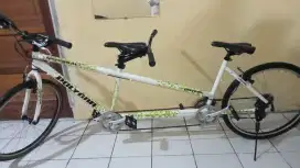 Sepeda tandem Polygon Alloy