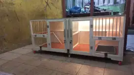 Kandang kucing panjang