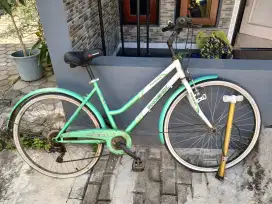 Sepeda Phoenix hijau