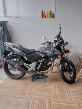 Tiger Revo 2011