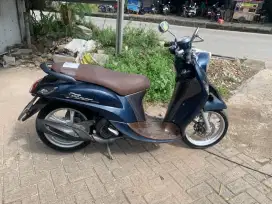 Fino Grande 2018.KM 40.000 an