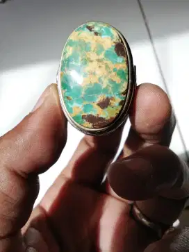 Pirus Persia lawas