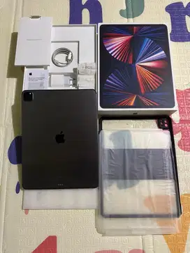 Ipad pro m1 256gb wifi cell ibox