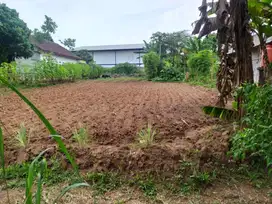 Jual Tanah Daerah Industri Tigaraksa