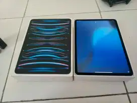 Ipad pro 11 m2 (2023) 128gb
