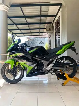 Kawasaki Ninja RR new 2014