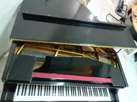 Grand Piano Schumann GP152, Panjang 152cm, Europe Licensed (Germany)