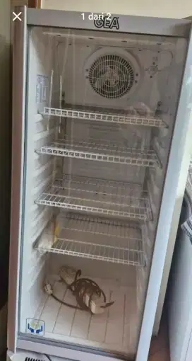 SHOWCASE Cooler Gea