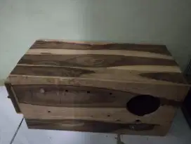 Glodok falk/lovebird