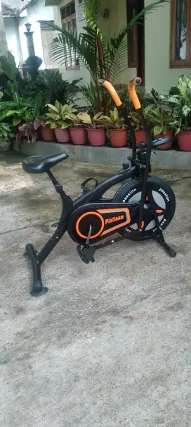 Sepeda olah raga dalam
