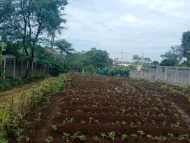 Dijual Tanah Siap Bangun di Jatinangor