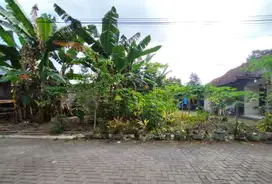Tanah murah dikawasan premium jl palagan km 7,5 dekat Hyatt & Alana