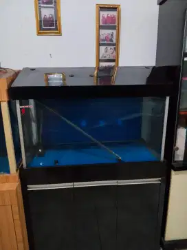 Dijual Aquarium Ikan
