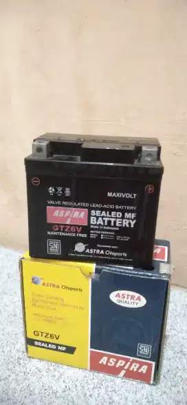 aki motor vario GTZ6V