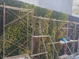 Taman vertikal Garden Murah