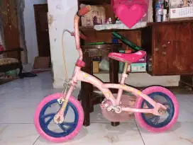 Di jual sepeda anak cewek wimcycle bekas