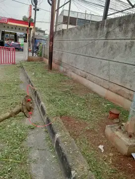 Jasa potong rumput taman kebon dll