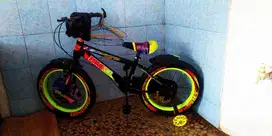 Sepeda Erminio ban besar