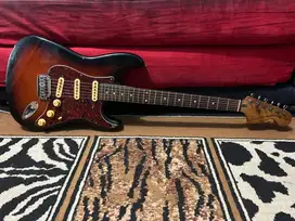 Squier stratocaster standar series