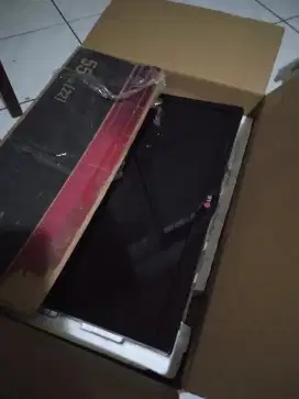 Tv LG analog 22nin minus layak pake