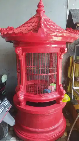 Kandang burung beo