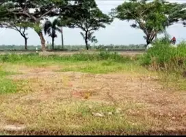 TANAH KAVLING HARGA MURAH - PATI