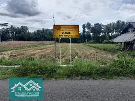 Jual Tanah 650 Ribuan Di Ngemplak; Murah & Strategis,Tepi Jalan Aspal