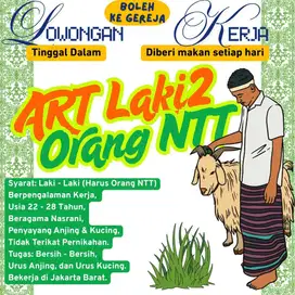 ART LAKI - LAKI ASAL NTT
