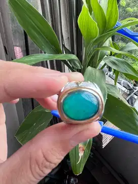 Bacan Doko Warna unik