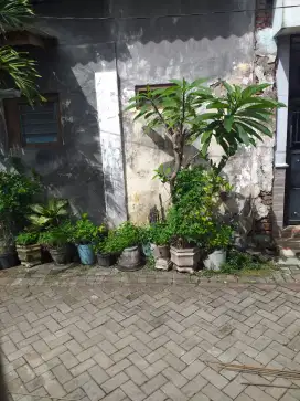 Cari kerja apa saja/serabutan