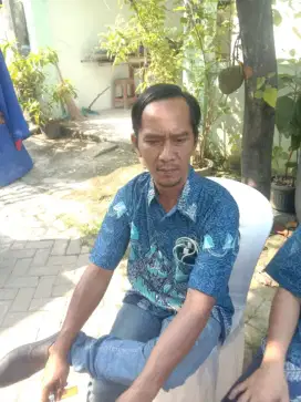 Siap antar supir pribadi