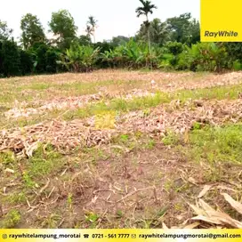 Dijual Tanah di Natar, Lampung selatan (kode: RE 3330)