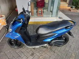 Jual cepat freego