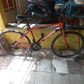 Sepeda Senator MTB Cross Country 26'