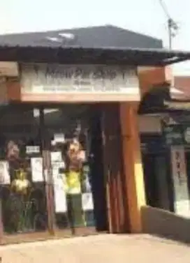 Lowongan kerja toko meow petshop