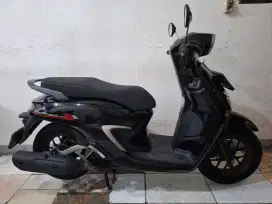Stylo 2024 cakep orisinil