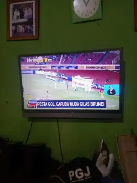 Telivisi, tv politron